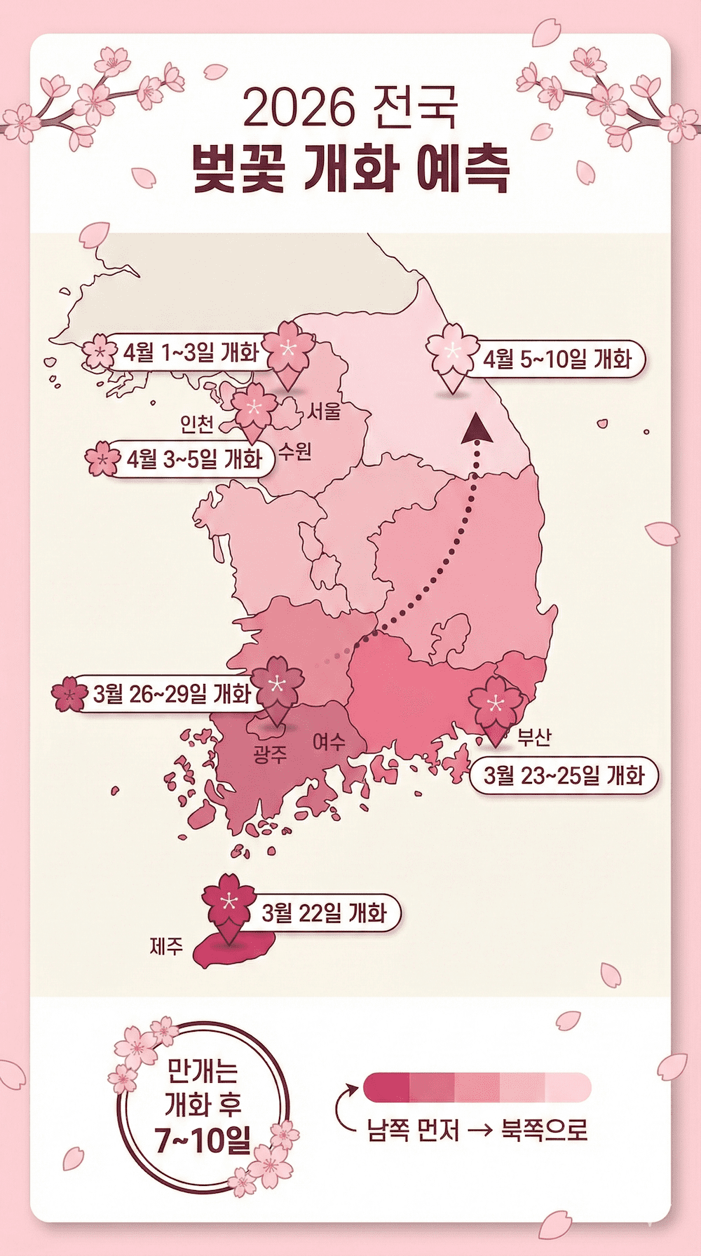 2026년 지역별 벚꽃 개화시기 인포그래픽
