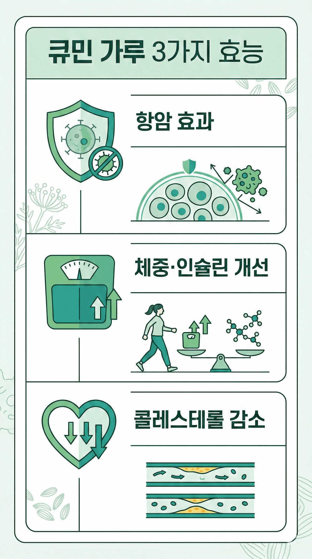 큐민 가루 3가지 효능 인포그래픽 - 항암, 체중 개선, 콜레스테롤